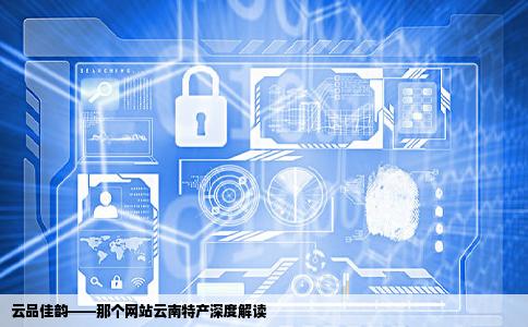 那个网站的云南特产好