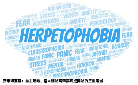 新手淘宝客应该自己学习建站还是请人建站或者直接购买别人的一些
