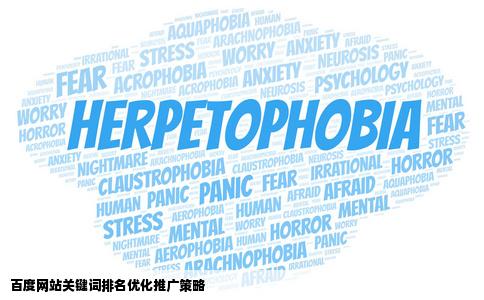 百度网站关键词如何做排名优化推广
