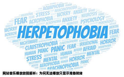 为什么我进网站听歌听不了只显示准备就绪哪位高手能指点下