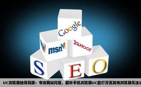 求解网站问题只有手机uc能打开其他的手机浏览器以及电脑的任何