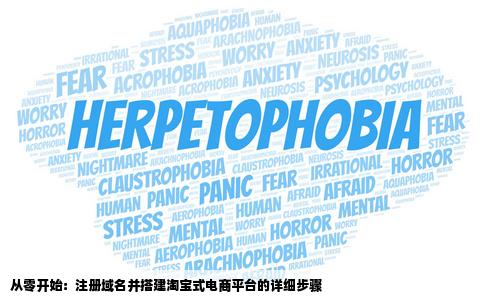 想注册一个域名开一个类似淘宝网的网站不知道从哪起手小型的站