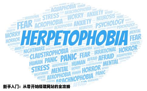 新手想做网站帮忙指导一下如果好的话我会加分的