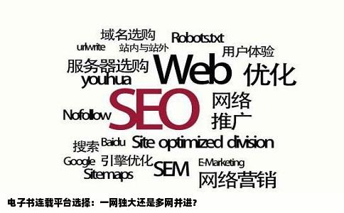 将电子书连载在一个网站上好呢还是多几个网站好啊不违约的情况下