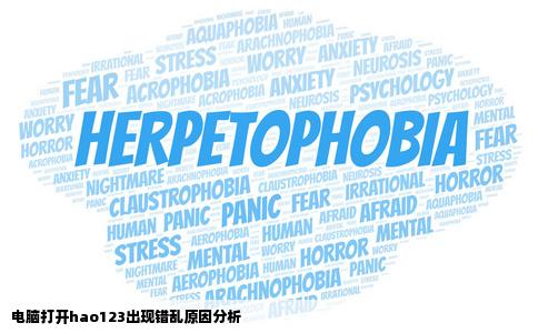 为什么我的电脑打开hao123就显示错乱其他网站正常这是为什么