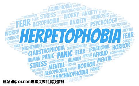 建站点中的OLEDB连接失败
