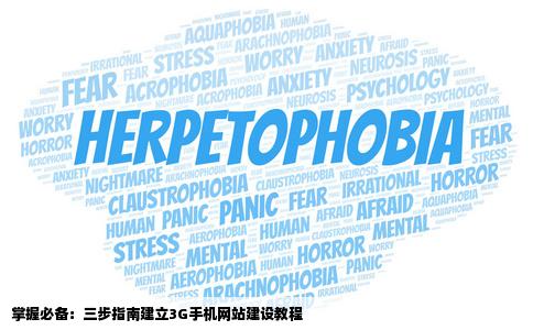 哪里有3G手机网站建设教程