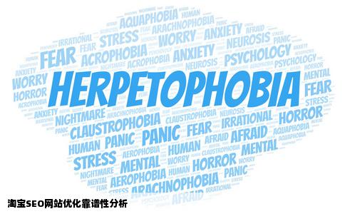 淘宝上那些seo的网站优化的那些靠谱吗我就怕对网站有什么影响怕