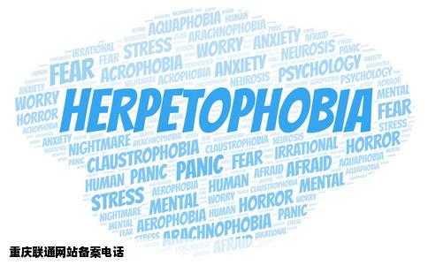 重庆联通负责网站备案的电话是多少