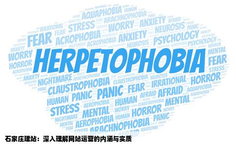 石家庄建站之什么是网站运营