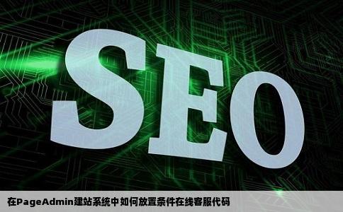在pageadmin建站系统中如何将条件在线客服在线客服代码放哪里