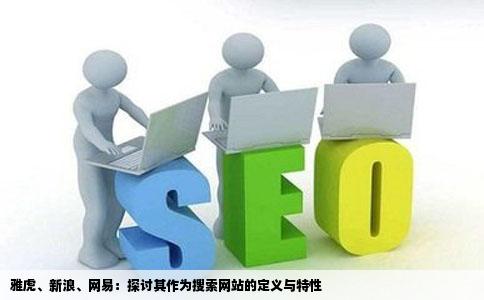 雅虎新浪网易是不是都可以成为搜索网站搜索网站的定义是什么