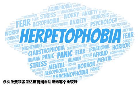 永久免费领装杀达苗商端自助建站哪个比较好