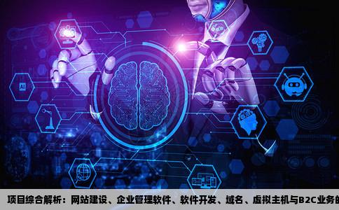 项目包括网站建设企业管理软件软件开发域名虚拟主机B2C