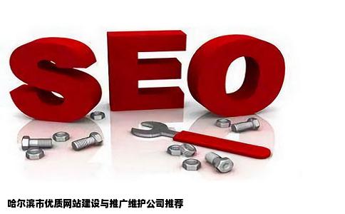 哈尔滨市做网站那个公司比较好呢建站推广维护