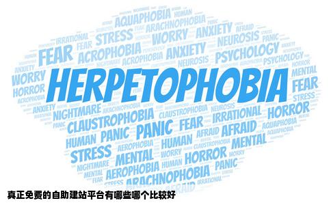 真正免费的自助建站平台有哪些哪个比较好