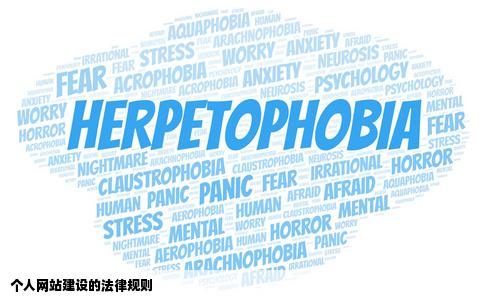 建立个人网站要遵守哪些法律条款