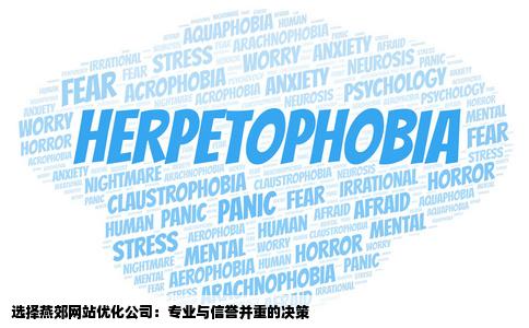 燕郊网站优化公司实在太多了请各位帮忙找一家实在的公司
