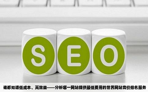 谁知道哪个网站做世界网站竞价排名服务收费最低推广效果也很不错呀