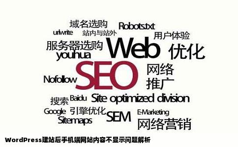WordPress建站后手机查看网站文章内容不显示