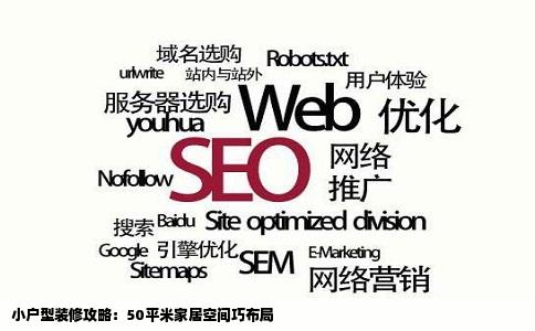 谁有50平米左右小户型的装修效果图或网站的