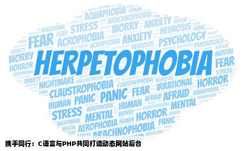 与人合作做动态网站朋友负责后台开发用的是C和php语言我负责