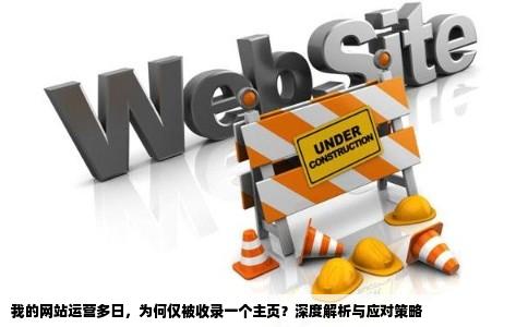 我的网站都好多天了为什么只被收录一个主页啊