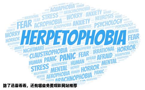 除了迅雷看看能免费看电影还有什么网站可以看