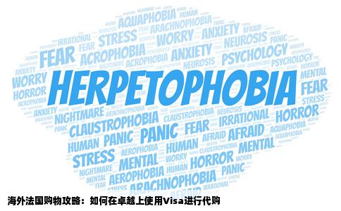 我在海外法国想在卓越上买东西我有visa想问有没有代购网站可以