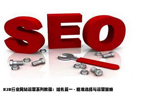 B2B行业网站运营系列教程域名篇一