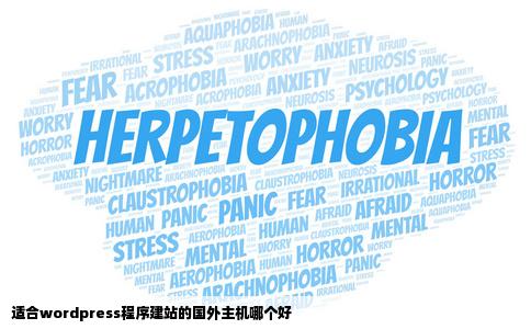 适合wordpress程序建站的国外主机哪个好