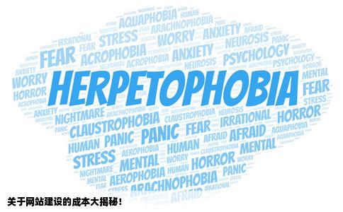 建立网站大约需要多少钱