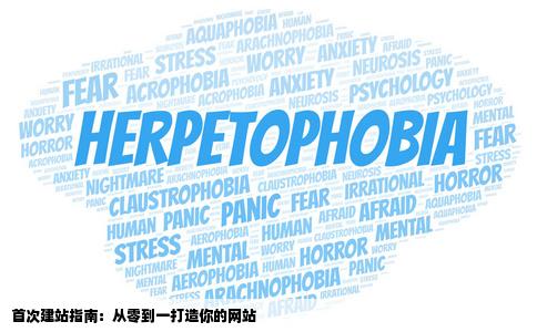 第一次建立网站要做什么好