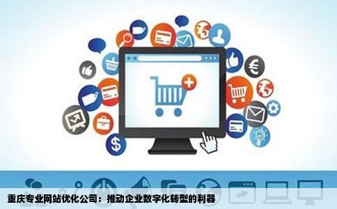 重庆专业的网站优化公司