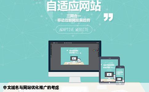 网站是中文域名以后做网站优化推广的话有没有不要再建一个网站
