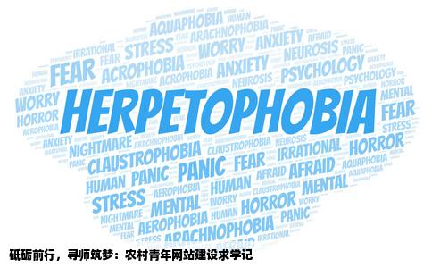 我是一个农村的想学网站建设想拜师