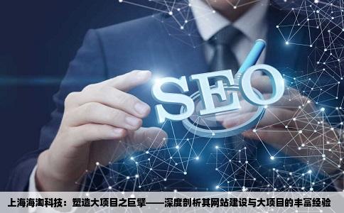 上海海淘科技的做过哪些大型公司的网站建设做大项目的经验多吗