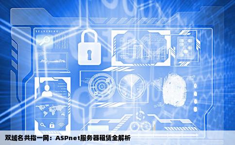 本人想租用ASPnet服务器可实现有两个域名都指向同一个网站哪位