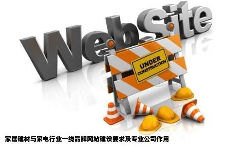 个专业做网站的公司要求提供家居建材或家电行业一线品牌网站建站