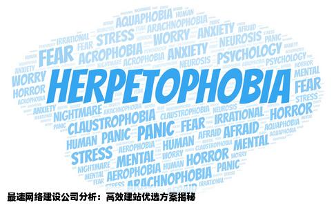 最好的网站建设网络公司是哪家网速快么