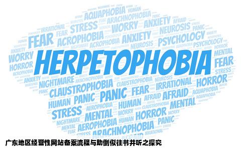 广东助倒似往书井听经营性网站备案