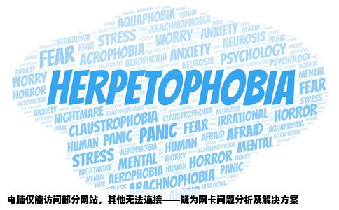 电脑只能访问几个网站其他的都上不去好象是网卡的问题哪位高手能