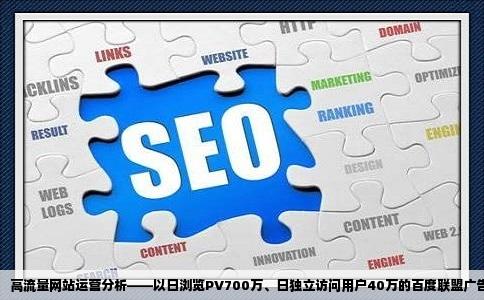 网站日浏览PV约700W左右日独立访问用户40W挂满百度联盟广告