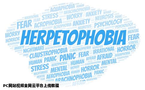 PC网站的视频怎么在全网云平台上传