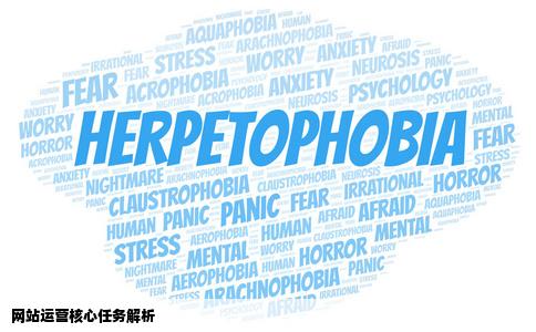 网站运营主要做什么