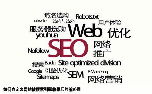 怎么自定义网站被搜索引擎收录后的缩略图