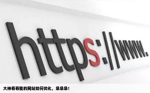 大神看看我的网站需要怎么优化