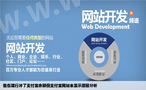 我在建行办了支付宝还冲了元为什么我打开支付宝网站上面没有