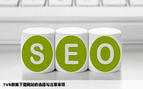 求TVB剧集下载的网站