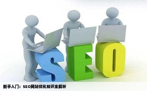 我是一位新手想知道一点关于SEO网站优化的知识了丰富一下自己